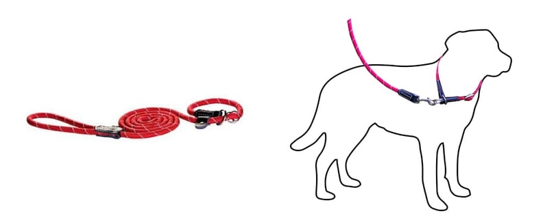 Dog coughing from pulling on leash online